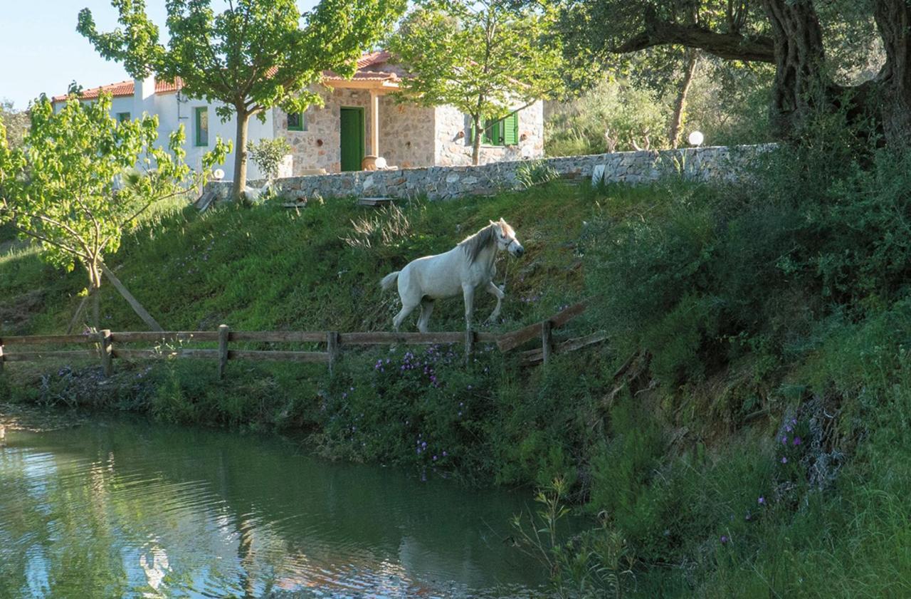Villa Elia Lambiní Exteriör bild