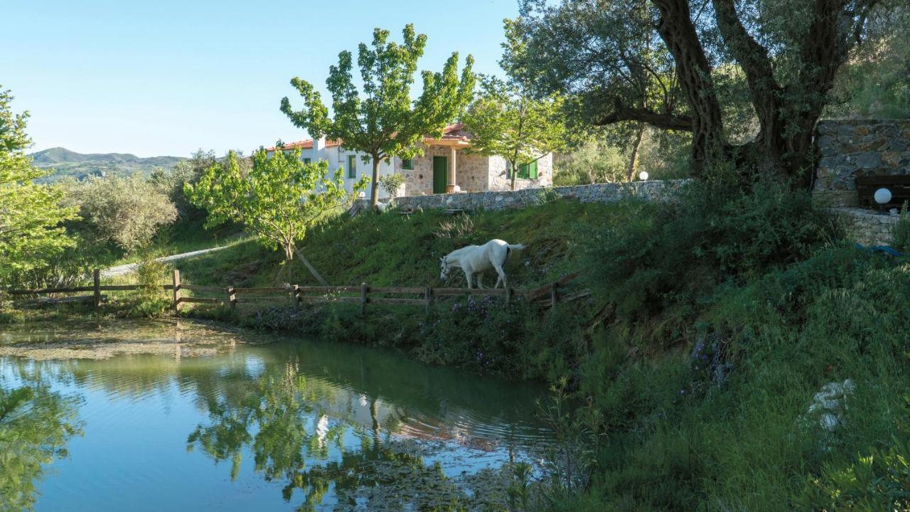 Villa Elia Lambiní Exteriör bild